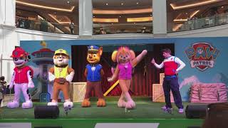 Paw Patrol Show - Live Real Mascot Video Episode