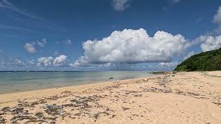 西表島の南風見田の浜[4K]