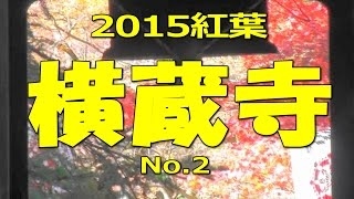 【癒し系】紅葉2015 横蔵寺 その２