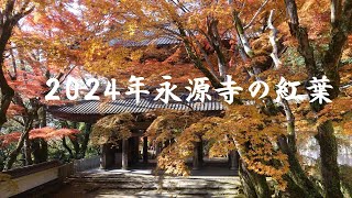 2024年永源寺の紅葉