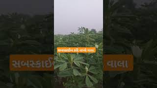 Lakh #viralvideo #ખેતી #trending #farming #વાડી #ખેડૂતપુત્ર #ખેડૂતો #khedu #funny #khedut