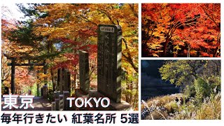 【TOKYO, JAPAN：5 recommended autumn leaves spots】 Nature spots in Tokyo that are worth visiting