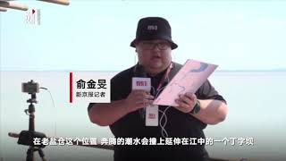 钱塘江大潮壮观拍岸浪花飞溅数米高 游客拍下精彩瞬间