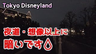 【TDL】ディズニーランド・新ゲートから舞浜駅迄の帰り道・想像以上に暗いんです・・