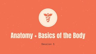 Anatomy + Basics of the Body (Session 1) - Health Science Summer Crash Course
