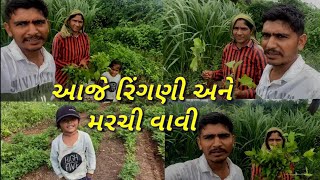 આજે રીંગણી મરચી સોપી રીત્વા હે Ritva and family #youtube