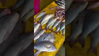 Trichy gets modern fish market at KasivilangiRead more at Kulumani #trichy #ilovetirchy