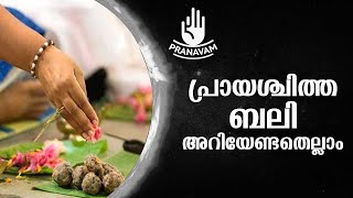 പ്രായശ്ചിത്ത ബലി അറിയേണ്ടതെല്ലാം | Subhash Tantri | Pranavam | Kaumudy