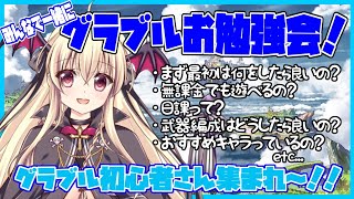 【グラブル】🔰初心者さんあつまれ～！情報量＆やる事が多すぎるグラブル、一体なにをやったら良いの？🔰#48【初心者さんお勉強会】