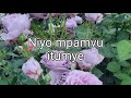 umurunga w iminsi_ alex kagame karahanyuze official lyrics