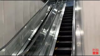 【三菱】1X エスカレーター　せんだいメディアテーク 1X escalator Sendai Media Take building Sendai Miyagi Japan