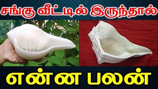 வீட்டில் வலம்புரி சங்கு இருந்தால் என்ன பலன் | valampuri sangu | T Tamil Technology | Conch Benefit