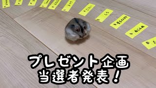 【抽選会】ハムスターちゃんねるのプレゼント企画の当選者発表！