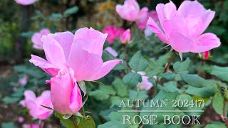 Rose Book Autumn 2024(7)