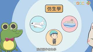 【延伸】向大自然借鏡-仿生學