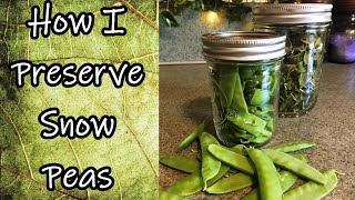 Preserving Snow Peas 2020