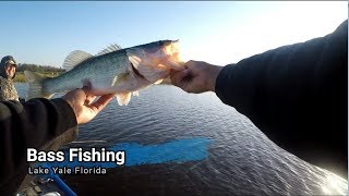 Bass Fishing Lake Yale During Bad Cold Front