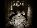 aslan schwarz weiss ft. kontra k skinny al