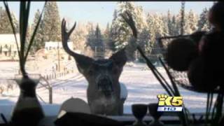 Deer Poachers Arrested, Washington Game Wardens