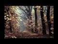 Emancipator - Eve