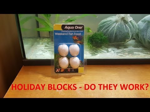 Aqua One Weekend Fish Food Review Aqua One Weekend Fish Food Review