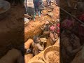Just Look at This Gold mining 😳#trending #galamsey #virilvideo #africa #goviral