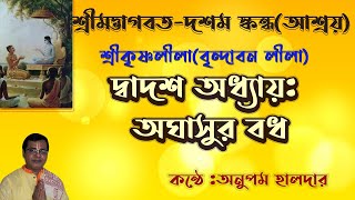 শ্রীমদ্ভাগবত-দশম স্কন্ধ(আশ্রয়) । দ্বাদশ  অধ্যায়  অঘাসুর বধ । কৃষ্ণলীলা