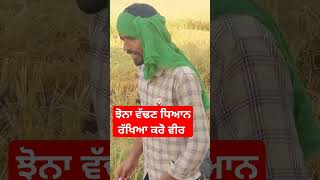 ਝੋਨਾ ਵੱਢਣ ਵੇਲੇ ਧਿਆਨ ਰੱਖਿਆ ਕਰੋ ਵੀਰ #animallover #agricultura