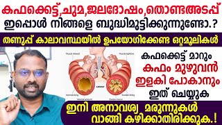 കഫക്കെട്ട്,ചുമ,ജലദോഷം,തൊണ്ട അടപ്പ് ; തണുപ്പ് കാലാവസ്ഥയിൽ നമ്മൾ ഉപയോഗിക്കേണ്ട ഒറ്റമൂലികൾ | Kaphakettu