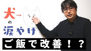 ドッグフードで愛犬の涙やけが治せる⁉️涙やけが何故起きるのかもペットショップ店長が説明します！