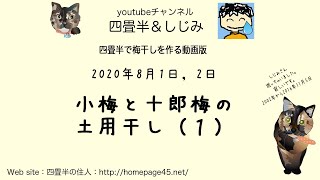 梅干し作り：小梅と十郎梅の土用干し(1)