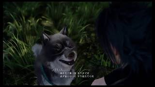 【Part 50】FF15『レベル1制限でスカジャンアフロの旅』ノーマル/アクティブ（禁止事項は説明欄）【Live配信】