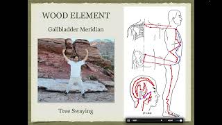 5 Element Qi Gong - Meridians and Five Elements Theory