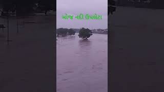 મોજ નદી ઉપલેટા ફૂલ વરસાદ ફૂલ પાણીની આવક #rain#વરસાદ#farmernews   19 July 2023