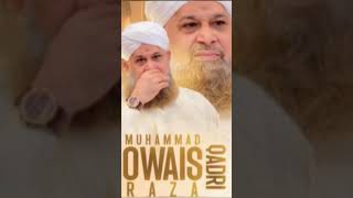 Owais Raza Qadri | Mustafa Ke Hain Wafadar Sahaba|#islamicstatus #manqabat #owaisrazaqadri #trending
