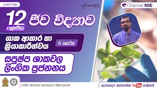 ශාක ආකාරය හා ක්‍රියාකාරීත්වය 6 - (සපුෂ්ප ශාකවල ලිංගික ප්‍රජනනය)-12 ශ්‍රේණිය (ජීව විද්‍යාව)