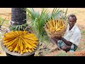 PALMYRA TUBER RECIPE | Our Traditional food Palmyra tuber patty | KARUPPASAMY