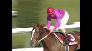 ナリタトップロード 2001年 第49回阪神大賞典(GII) (優勝馬：ナリタトップロード)