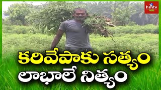 కరివేపాకు సత్యం..లాభాలే నిత్యం.. | Nela Talli | hmtv Agri