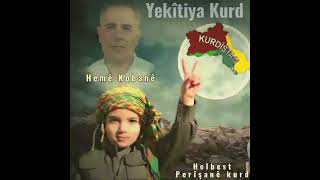 Helbestvan Hemê Kobanê (Yekîtiya Kurdan) 2/2/2025  #kobane