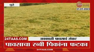 Rainfall Alert  | धुळ्यात मुसळधार पाऊस! उभी पिकं शेतात झोपली; गहू, कांदा गेला वाहून