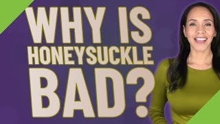 Why Is Honeysuckle Bad