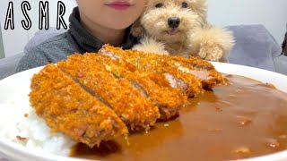 【ASMR】PORK CUTLET CURRY｜KATSU CURRY【EATING SOUNDS】