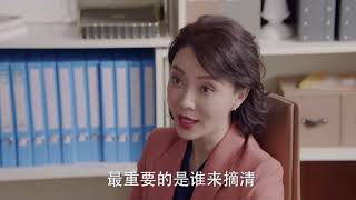 完美关系：舒情打算推举出总裁，斯黛拉脸色瞬间变了，两人精彩至极