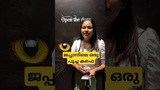 പൂച്ച കഫെ എന്നു വെച്ചാൽ ?? | Japan malayalam vlog #shorts #japanmalayalam