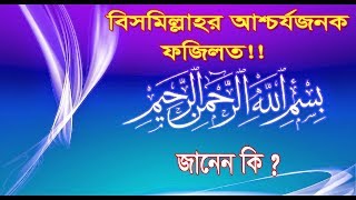 বিসমিল্লাহর আশ্চর্যজনক ফজিলত! জানলে অবাক হবেন।