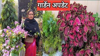 विंटर कि बारिश में देखें, मेरे टेरेस गार्डेन की हालत 🌸🌼🌿👍