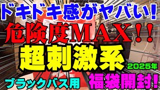 ドキドキ感がヤバい！危険度MAXな超刺激系ブラックバス福袋開封！【福袋開封】【2025】【バス釣り】【シャーベットヘアーチャンネル】【釣りバカの爆買い】【釣具福袋】【豪華福袋】【イシグロ岐阜店】