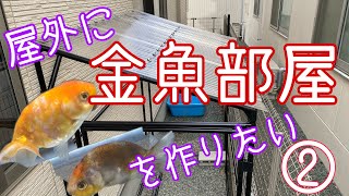 屋外に『金魚部屋』を作りたい！②#金魚 #金魚飼育 #らんちゅう #江戸錦 #桜錦 #イレクターパイプ #diy