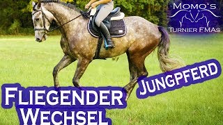 4-jähriges Pferd lernt FLIEGENDEN WECHSEL | Jungpferdeausbildung Crawall #9